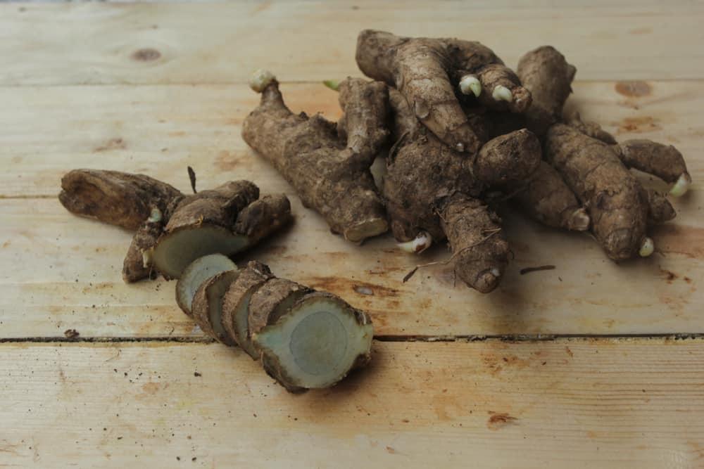 Temu Ireng, Herbal Berkhasiat yang Bisa Atasi Kebotakan