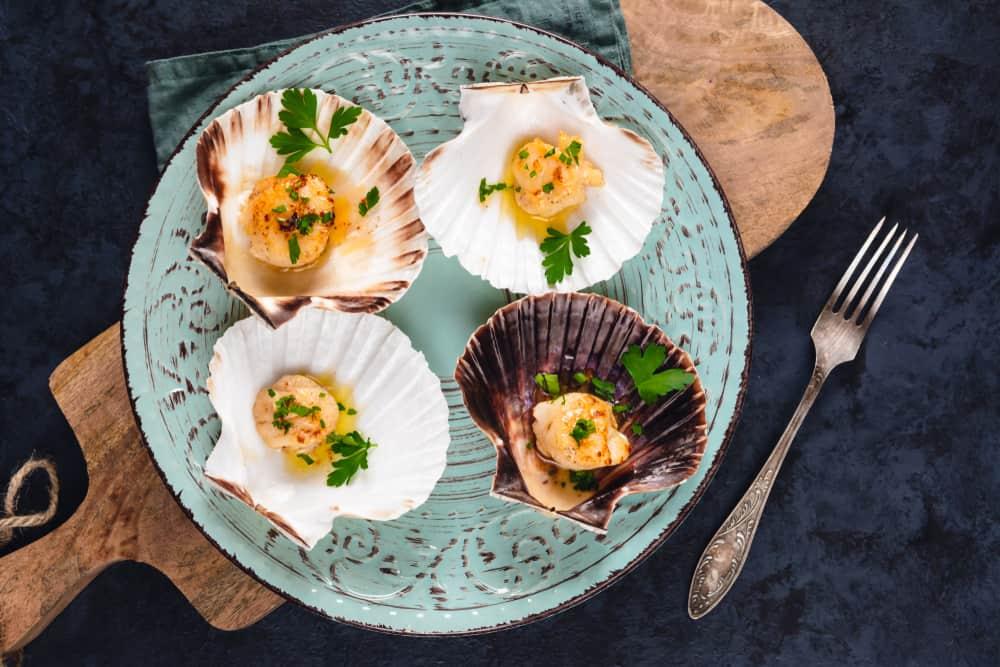 resep-scallop-kerang-kampak