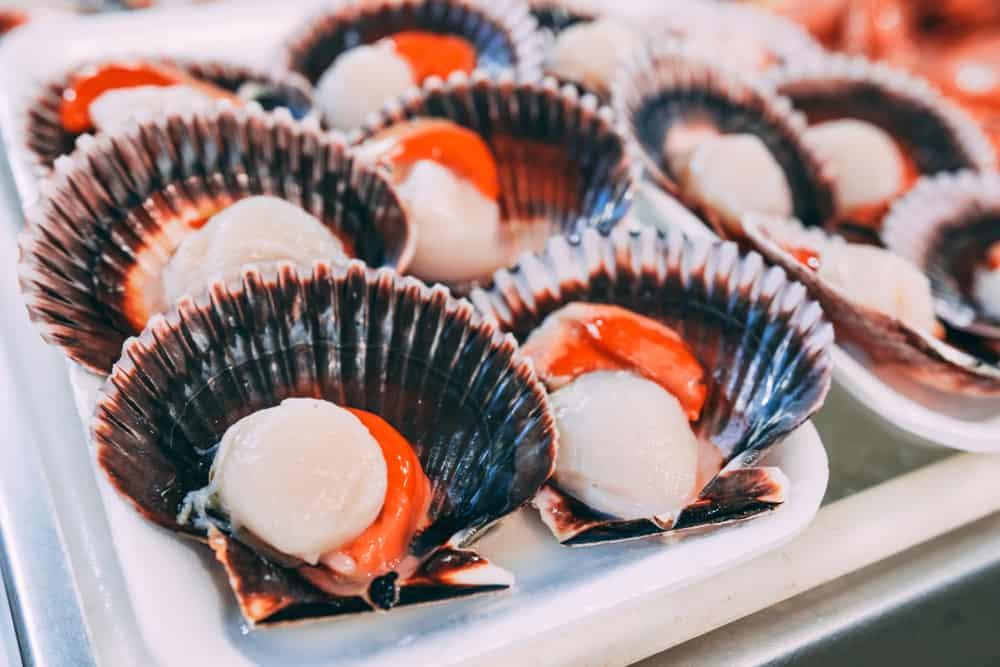 cara-sehat-memasak-scallop