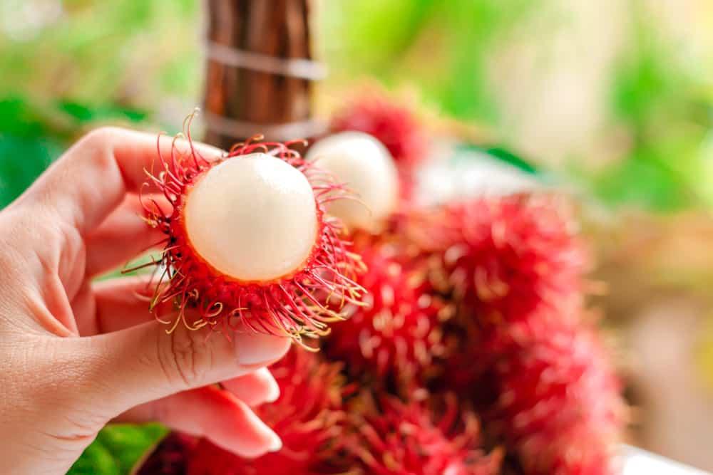 Amankah Buah Rambutan untuk Ibu Hamil? Ini yang Perlu Diperhatikan
