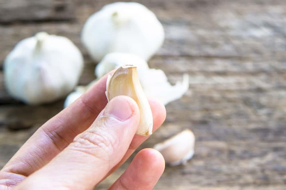 Kenapa Tangan Gatal dan Terasa Panas Terbakar Setelah Pegang Bawang Putih?
