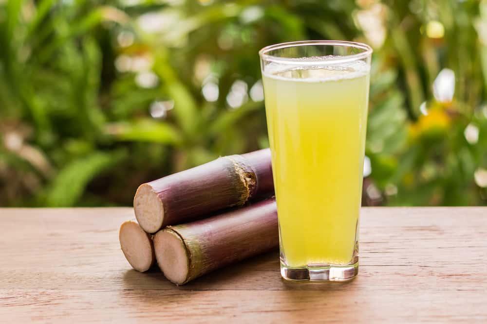 kandungan-air-tebu
