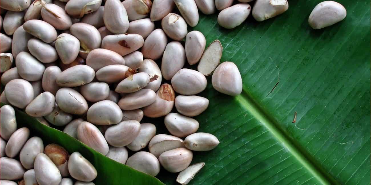 5 Manfaat Biji Nangka yang Tak Boleh Anda Lewatkan