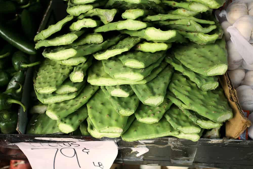 manfaat-makan-kaktus