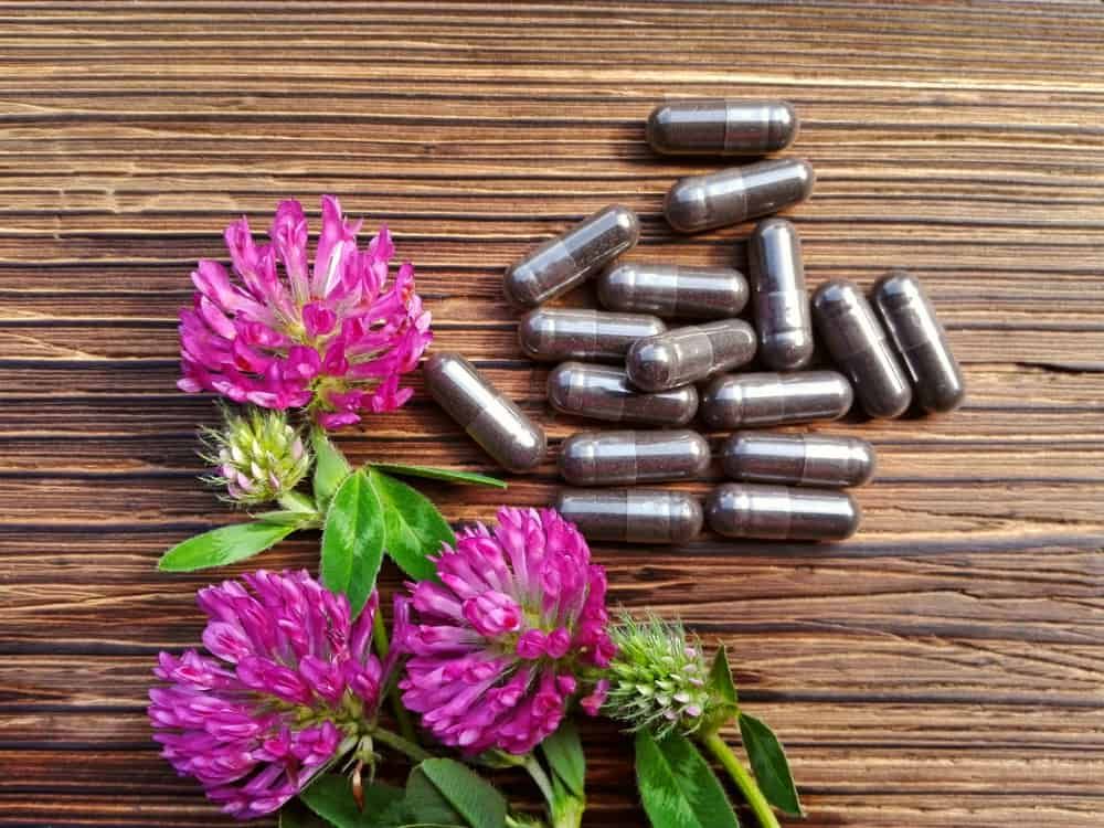 3 Pilihan Obat Herbal untuk Bantu Mengatasi Gejala Osteoporosis