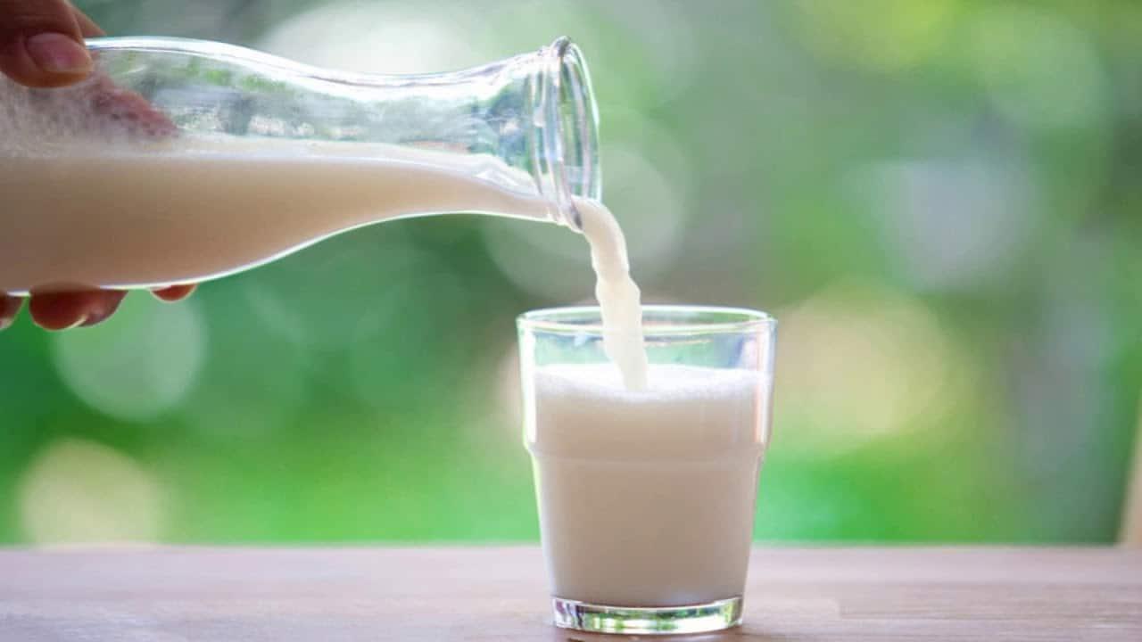 susu-untuk-tulang-keropos