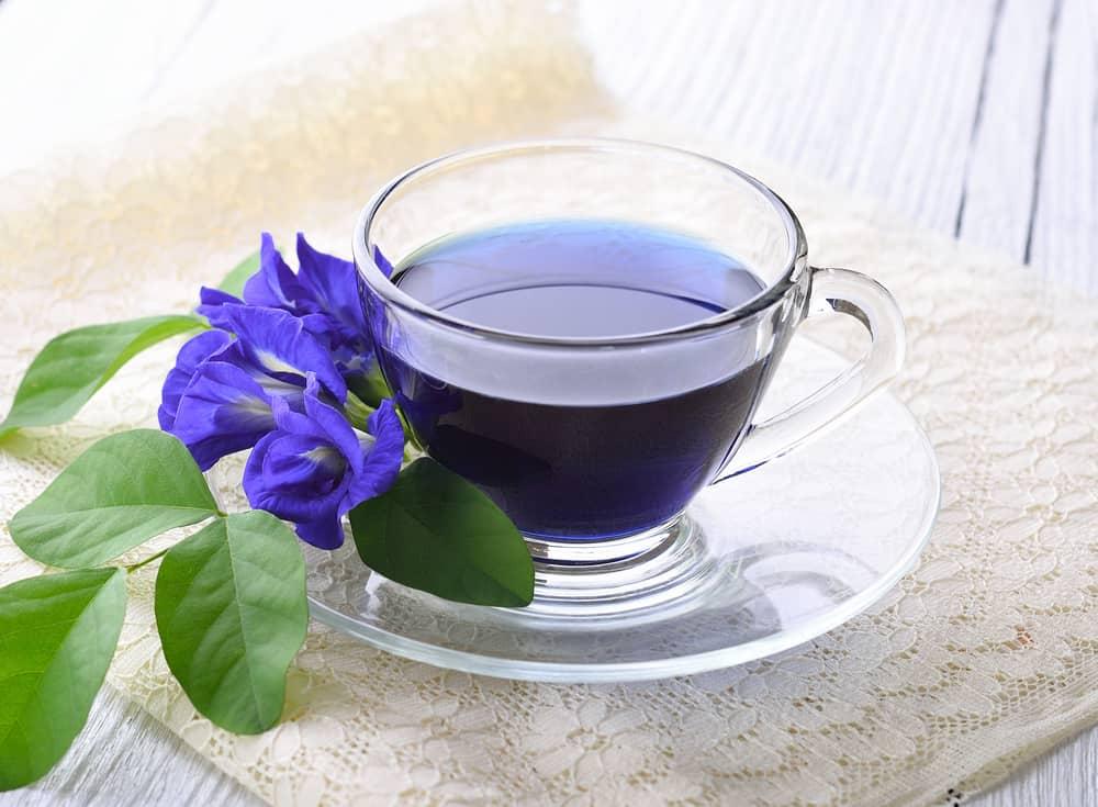 resep-minuman-bunga-telang