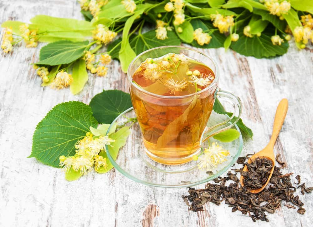 manfaat-teh-linden