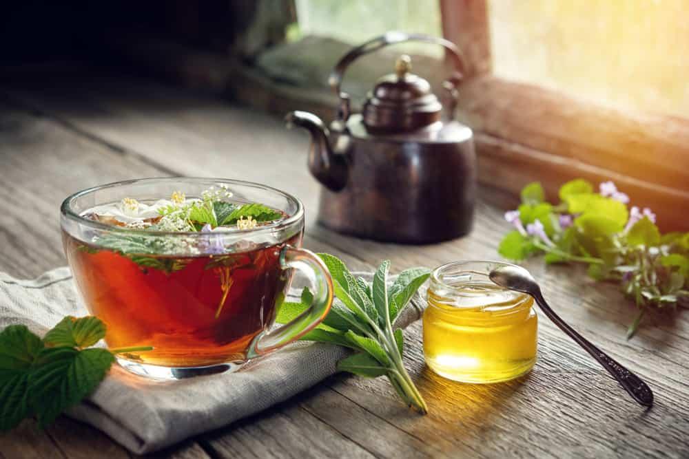 cara-membuat-teh-sage