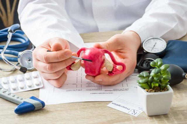 Mengenal Beragam Tes Kesuburan dan Pemeriksaan Organ Reproduksi Pada Wanita