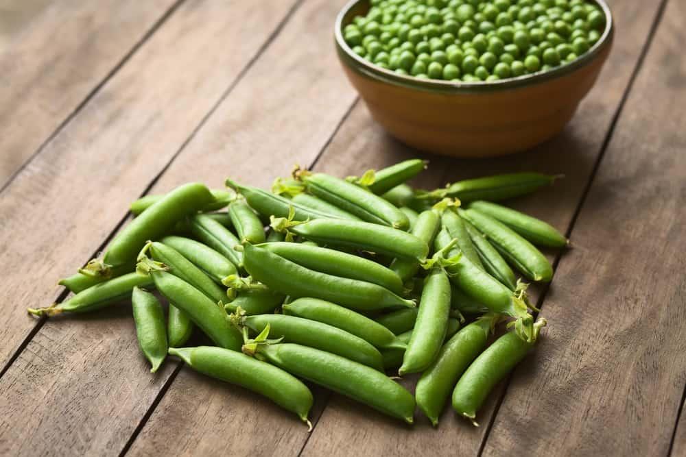 nutrisi-kacang-kapri
