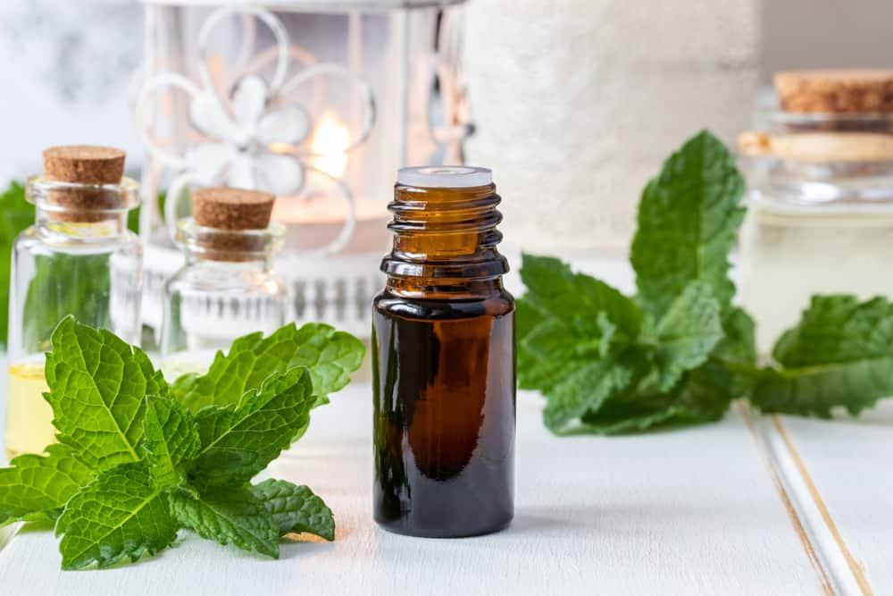 Apa Saja Manfaat Minyak Peppermint untuk Rambut?