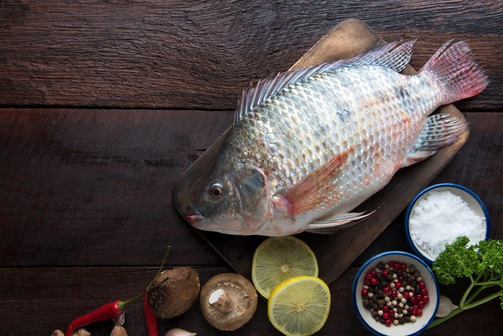 manfaat-ikan-mujair