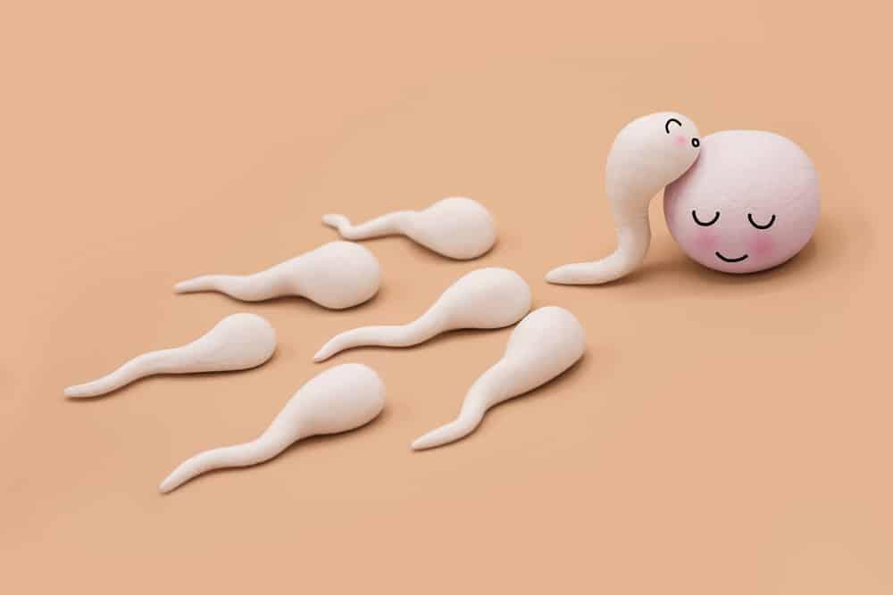 Membandingkan Kecepatan Sperma saat Dikeluarkan di Dalam Tubuh dan Air