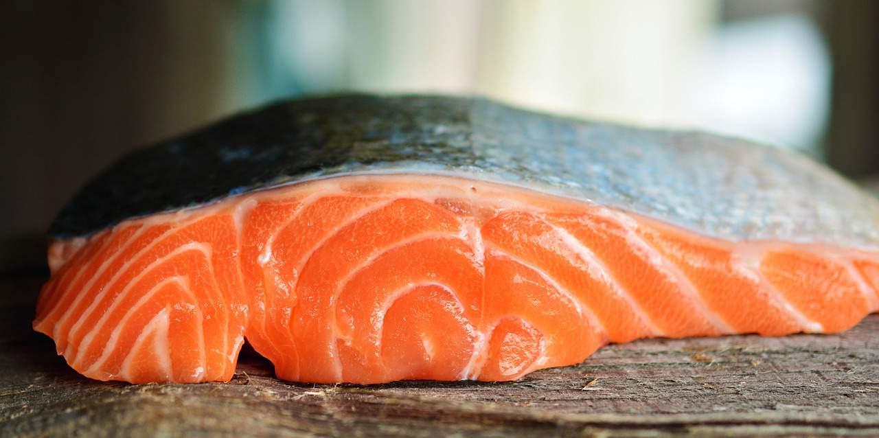 kandungan-salmon-mentai-shirataki