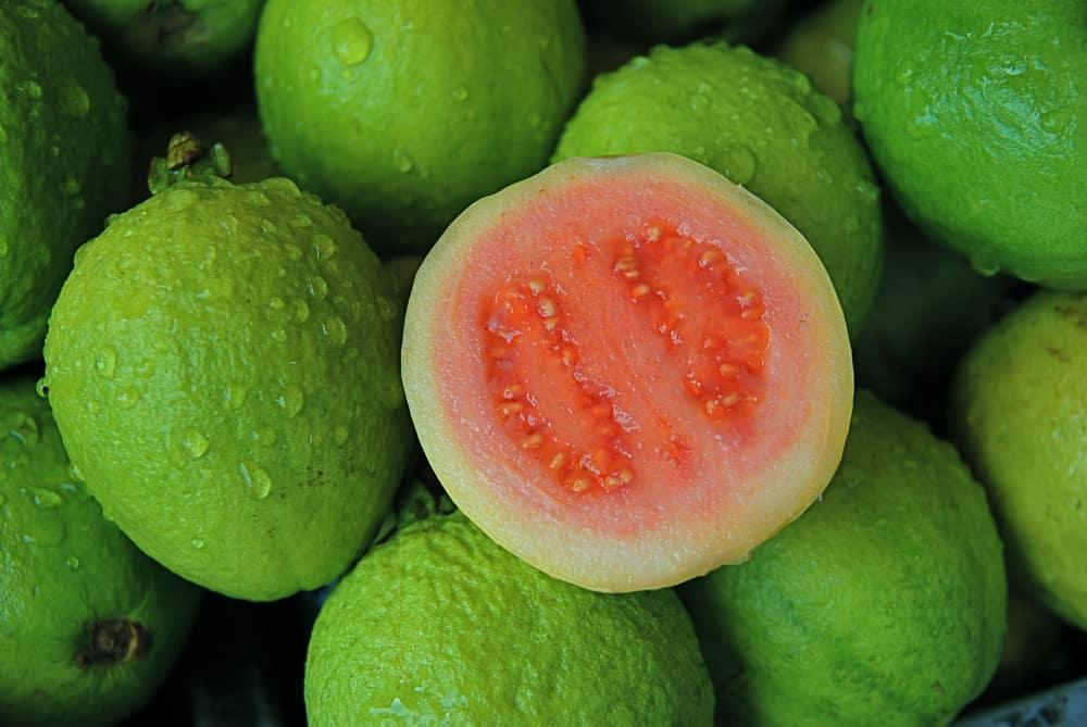 3 Kandungan Jambu Biji yang Ampuh Menjaga Imun Tubuh