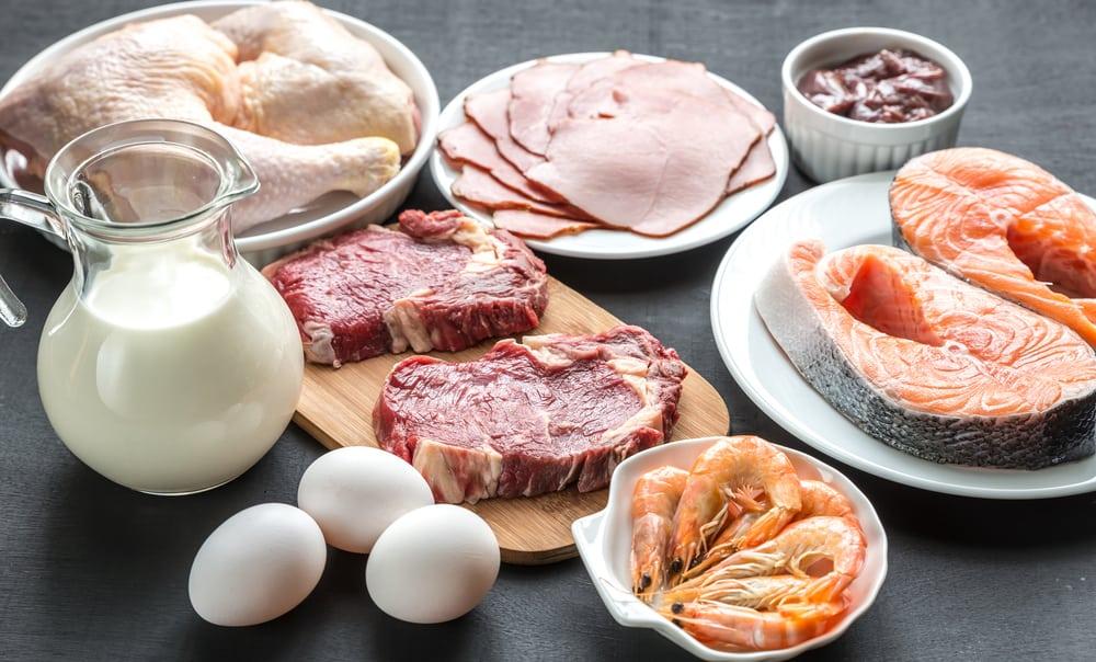 protein-untuk-penderita-kanker