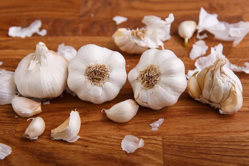 bawang-putih-untuk-bronkitis