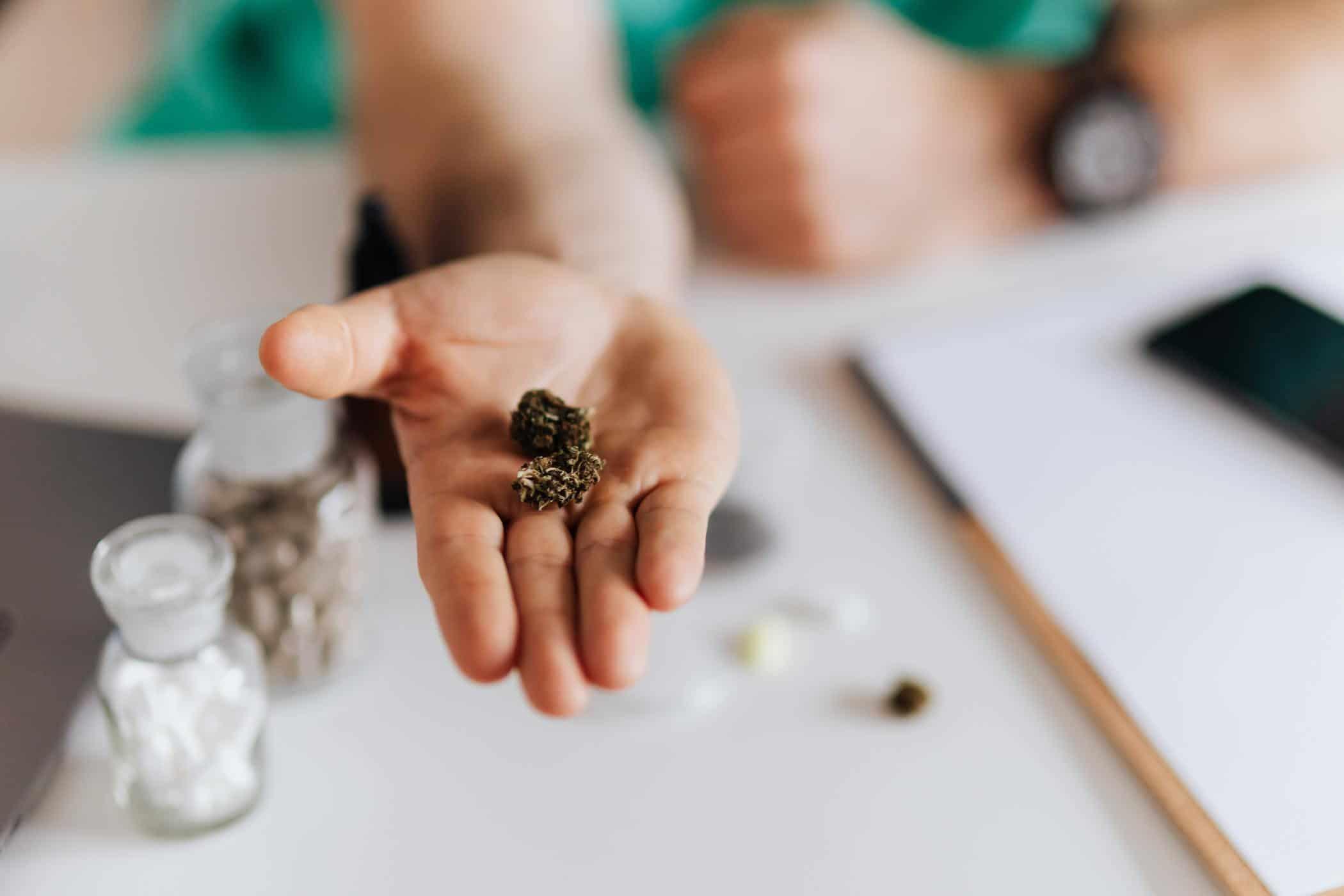 obat-herbal-paru-paru-kronis