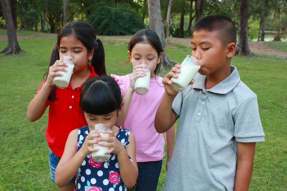 Adakah Perbedaan pada Tumbuh Kembang Anak Minum Susu Sapi dan Soya?