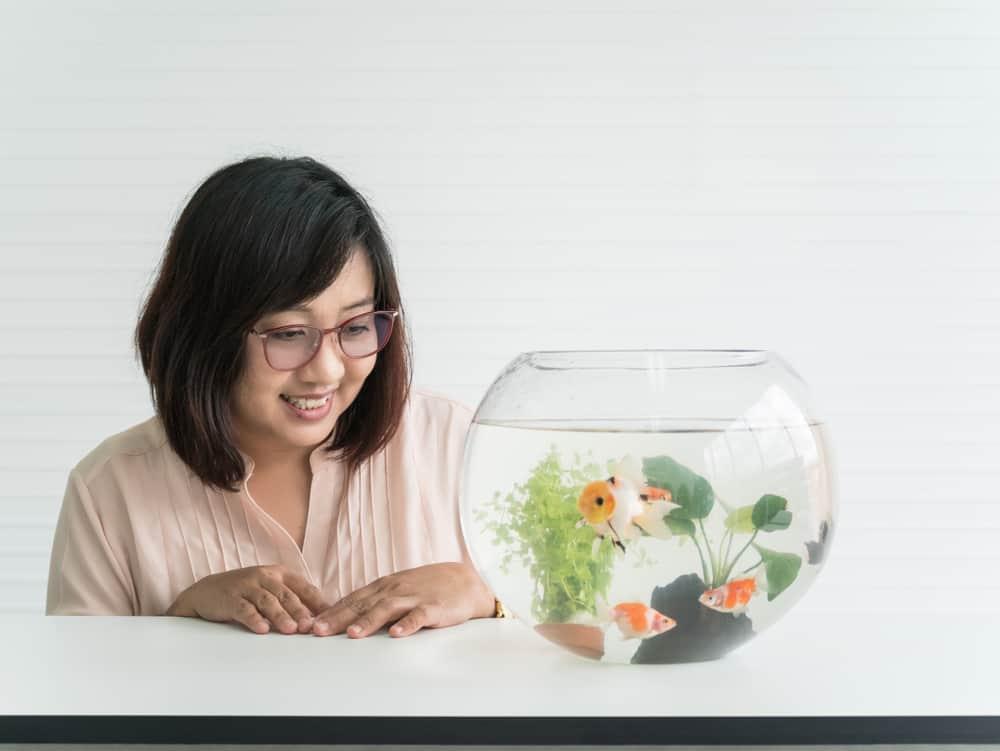 manfaat-memelihara-ikan