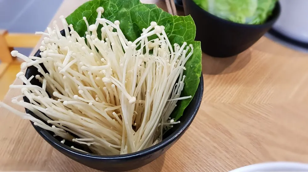 Jamur Enoki yang Tercemar Bakteri, Apa Bahayanya?