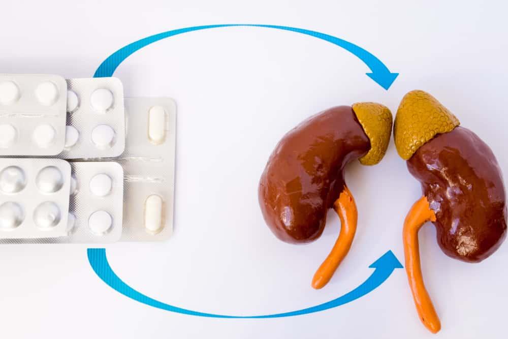 obat-sakit-ginjal