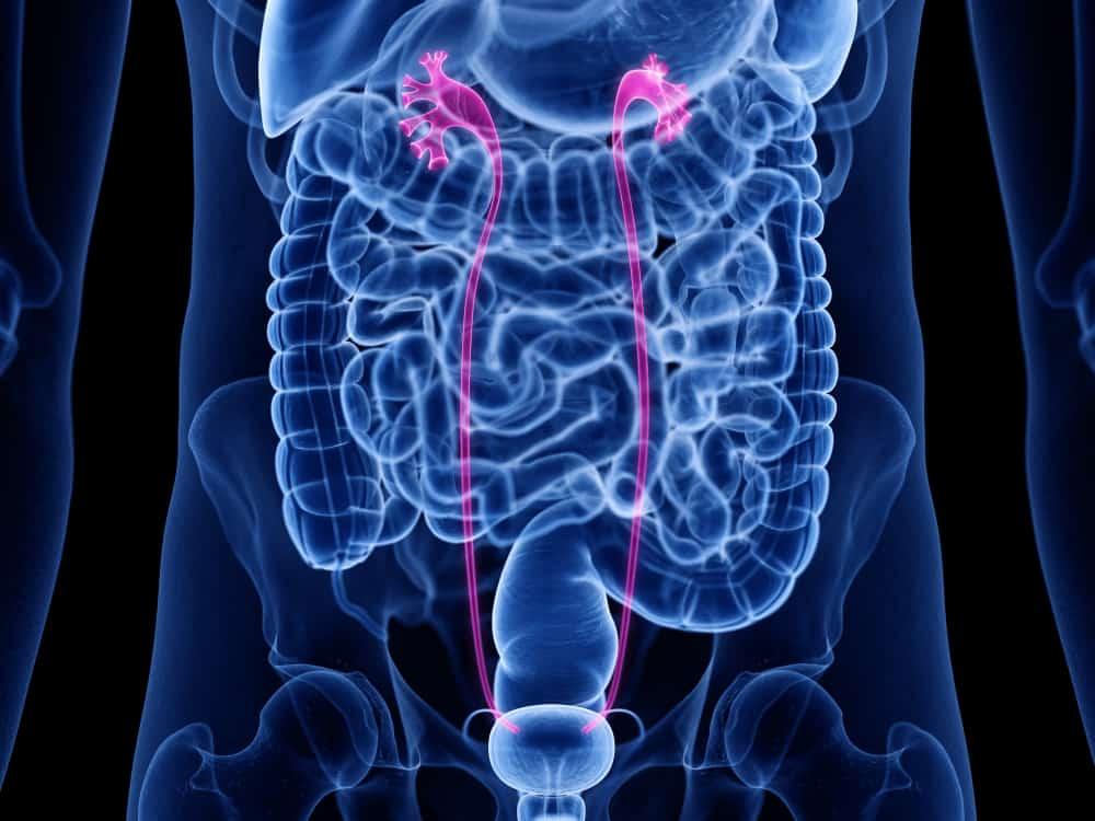 striktur-ureter