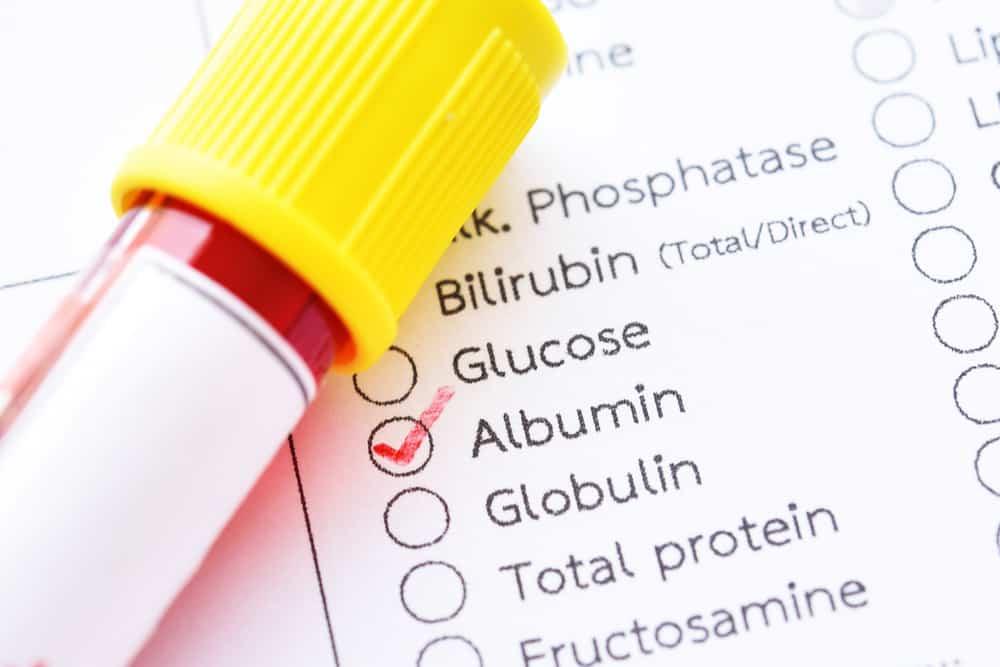 albumin