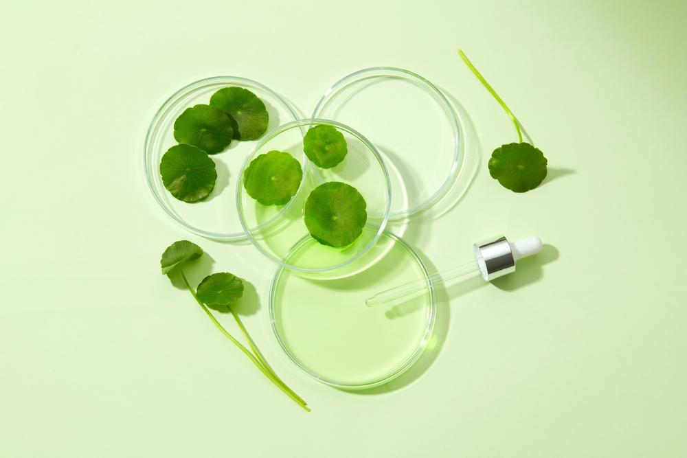 centella-asiatica-untuk-kulit