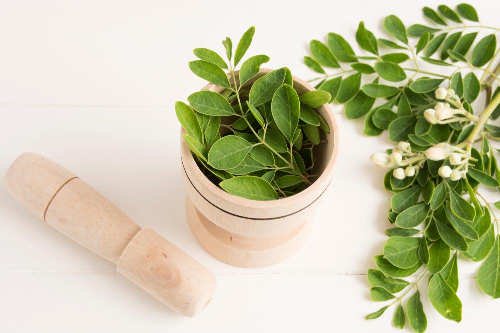 manfaat-daun-kelor-untuk-diabetes