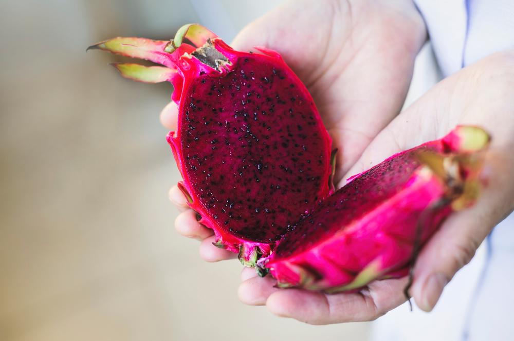 manfaat-buah-naga-untuk-ibu-hamil