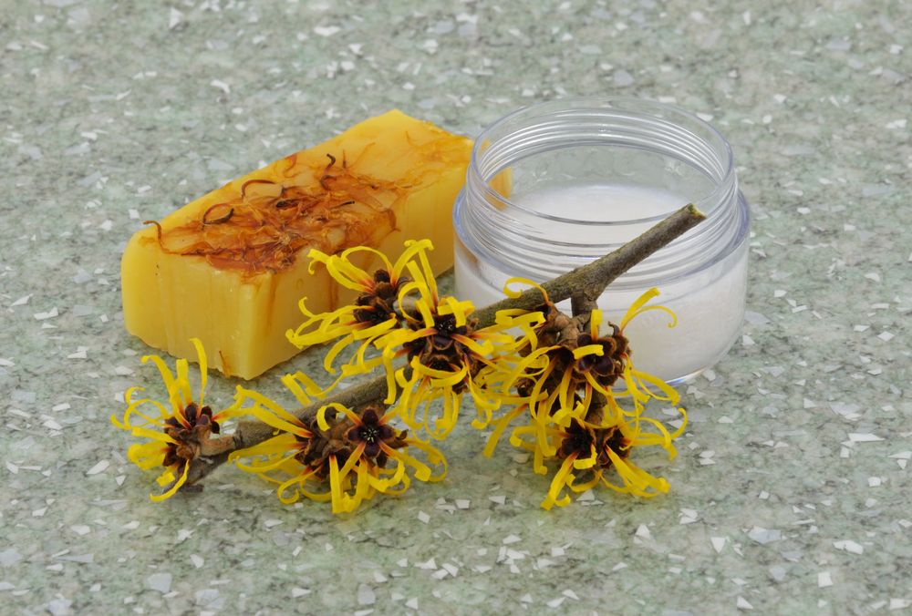 manfaat-witch-hazel