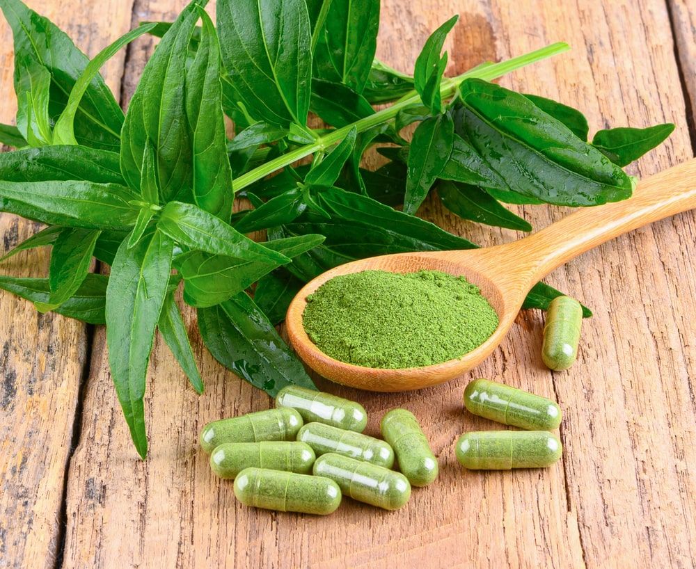 daun-sambiloto-untuk-diabetes