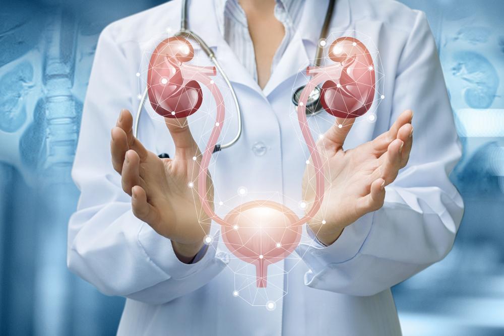 perbedaan-ureter-dan-uretra