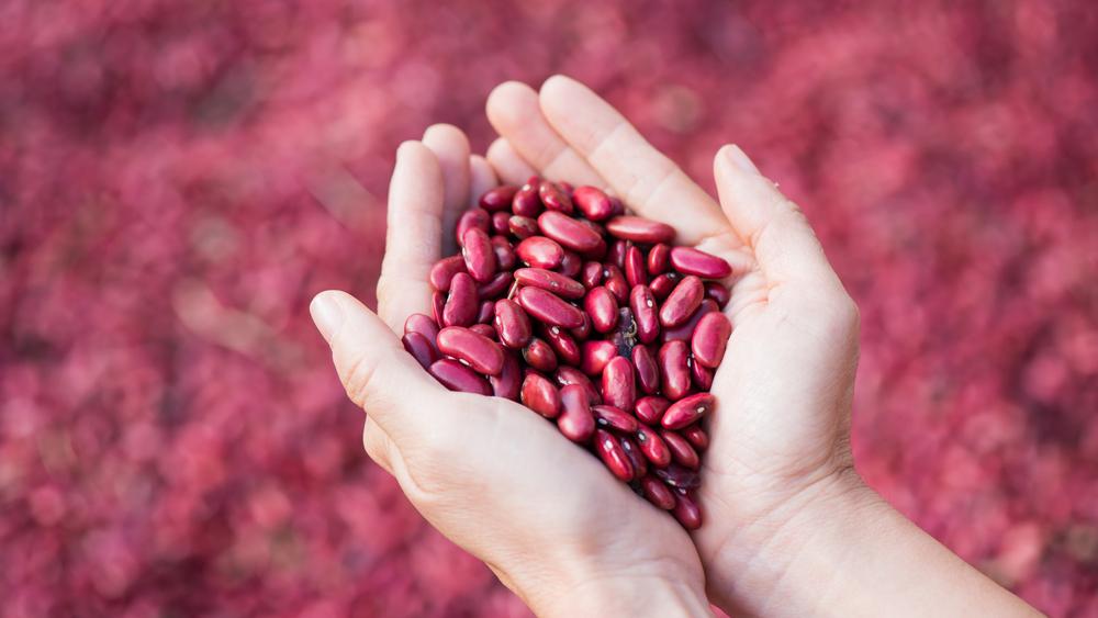 kacang-merah-untuk-ibu-hamil