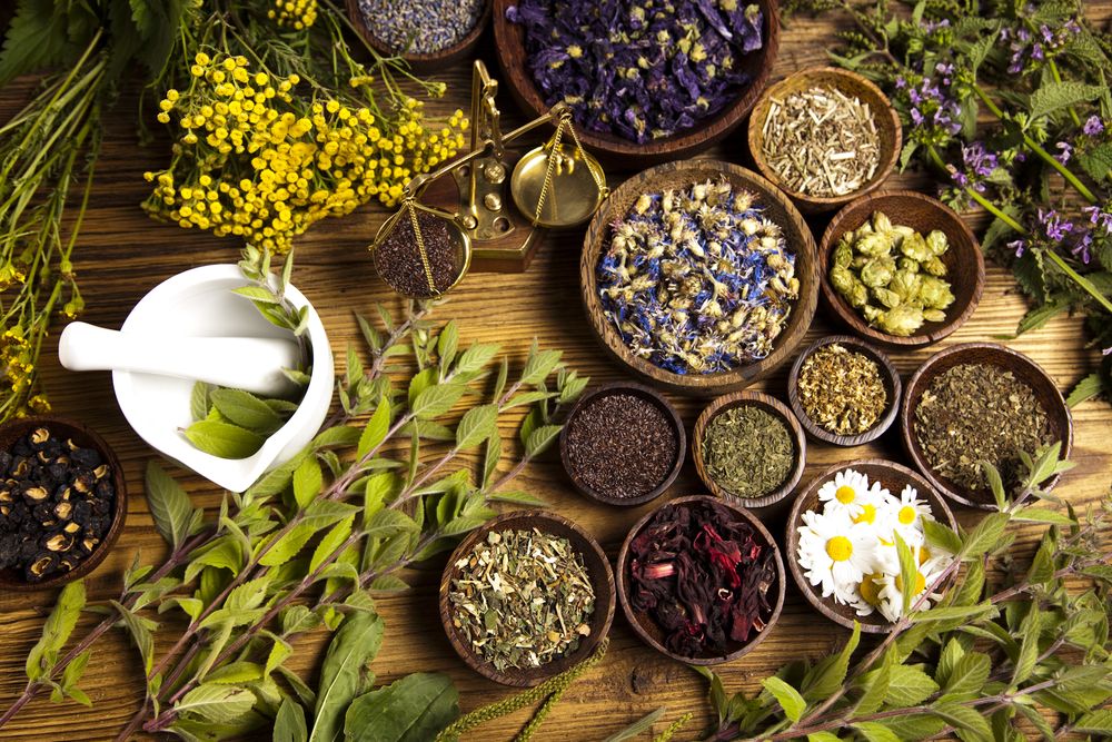 obat-herbal-kanker-pankreas