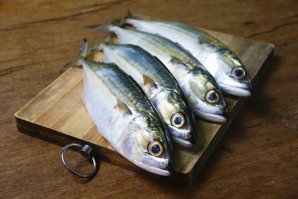 Mudah Diperoleh, Ini 10 Manfaat Ikan Kembung untuk Ibu Hamil