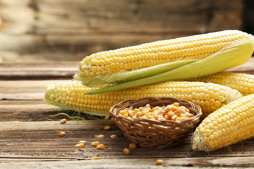 Diabetesi Boleh Makan Jagung Asalkan Mengikuti Panduan Ini