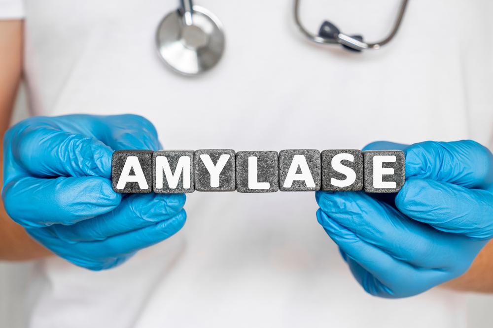 fungsi-enzim-amilase