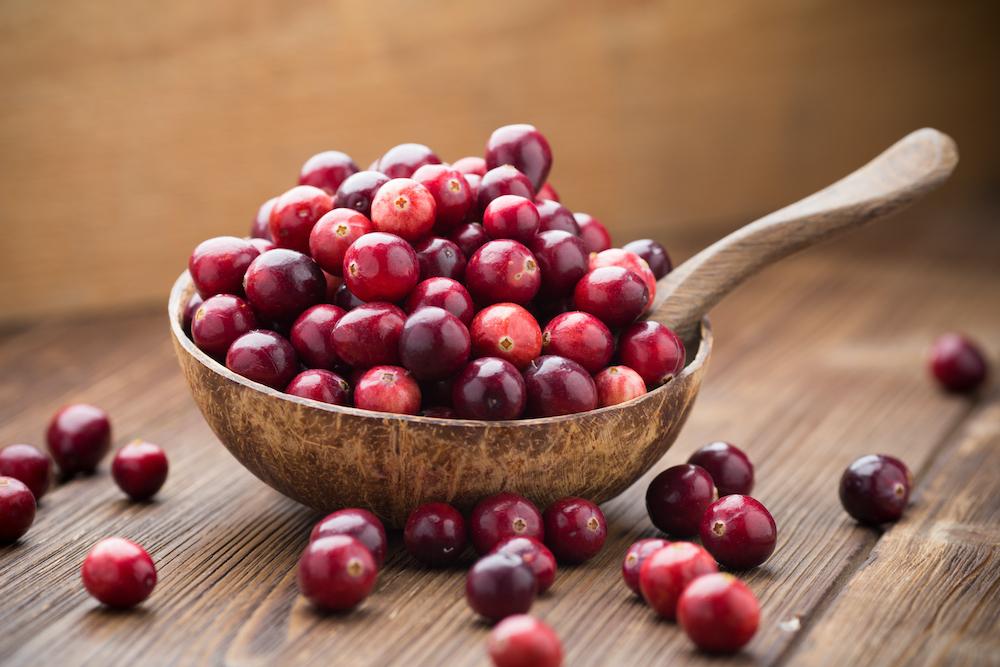 jus-cranberry-untuk-isk