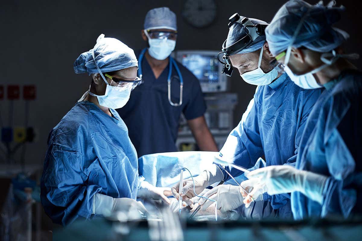 transplantasi-ginjal-babi-ke-manusia