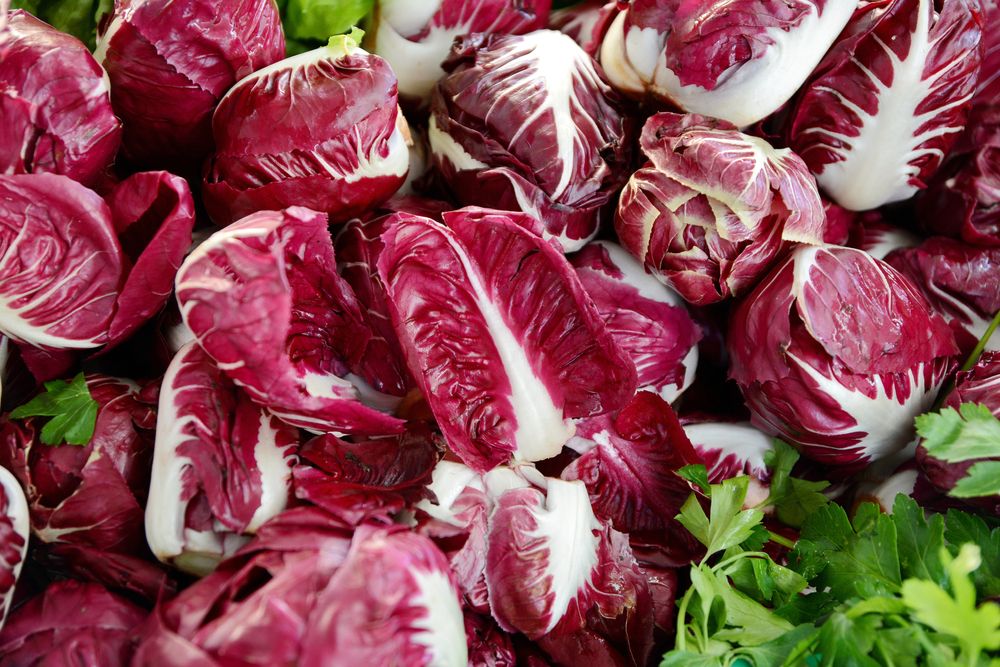 radicchio