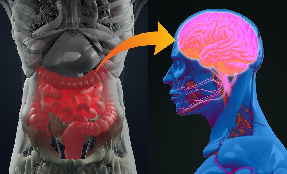 gut-brain-axis