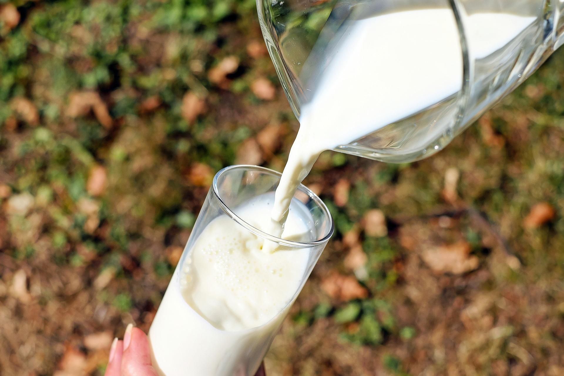 merek-susu-pasteurisasi