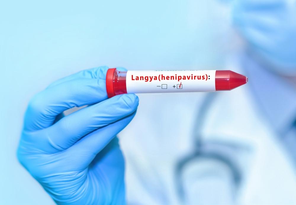Mengenal Virus Langya, dari Gejala hingga Risiko Bahayanya