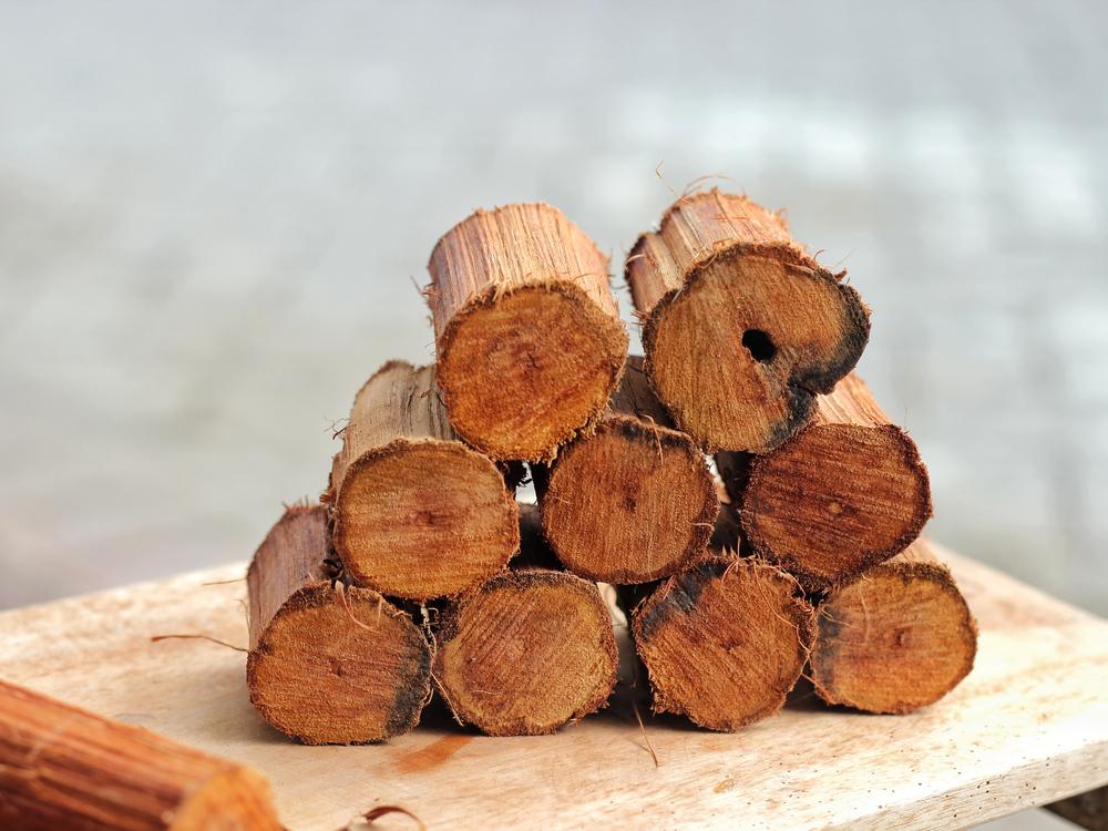 kayu-bajakah