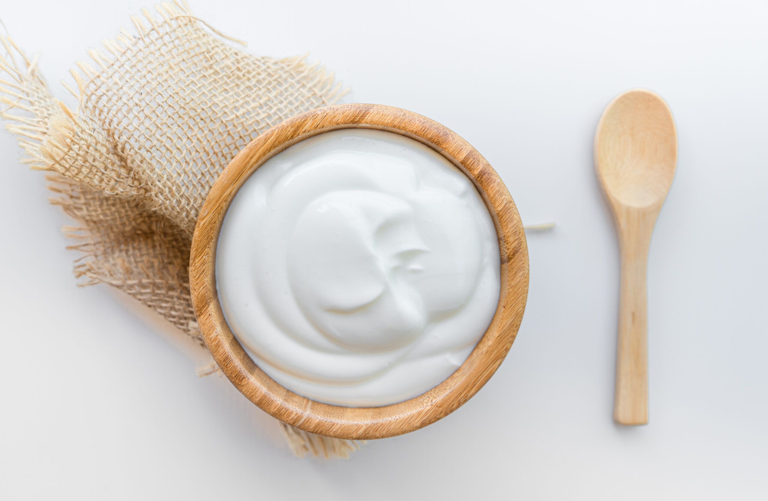 bakteri-yogurt