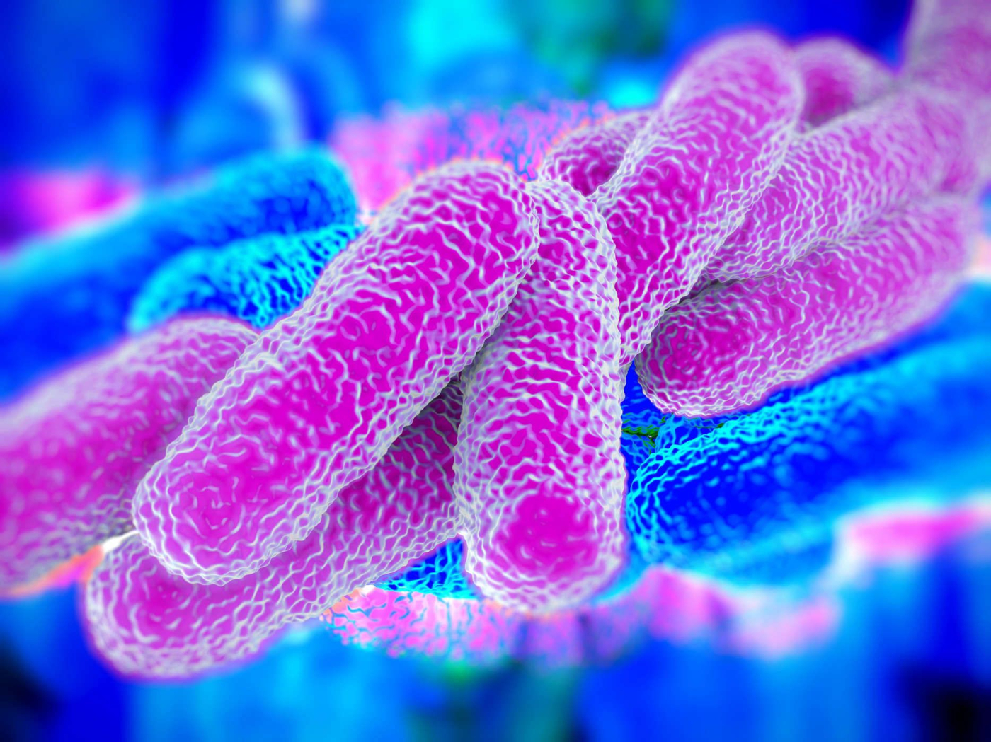 Infeksi Bakteri dan Infeksi Virus, Apa Bedanya?