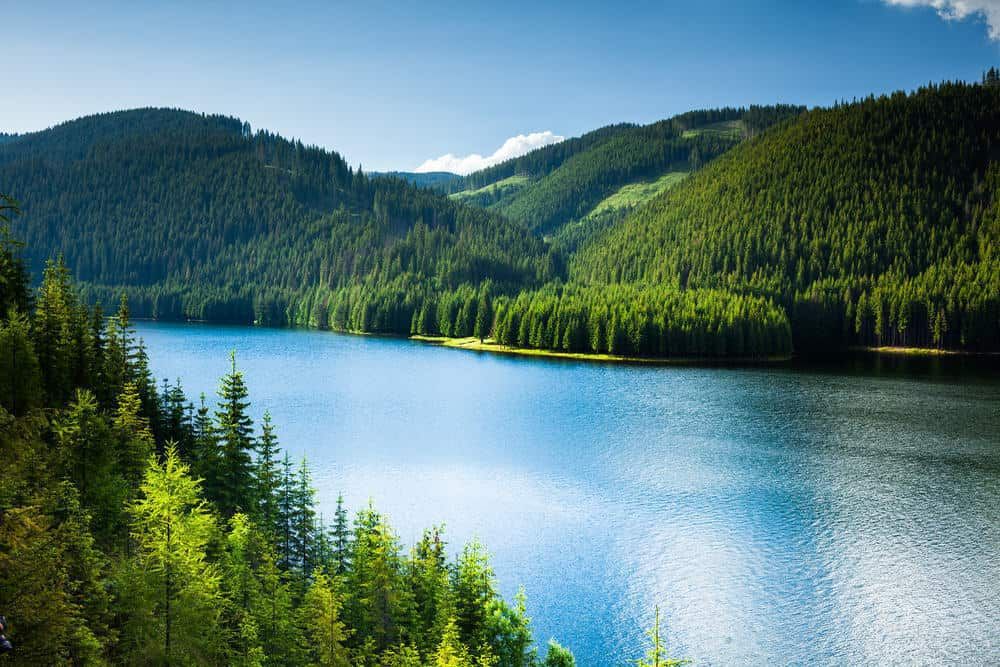 benarkah-melihat-sesuatu-yang-hijau-bikin-mata-lebih-sehat